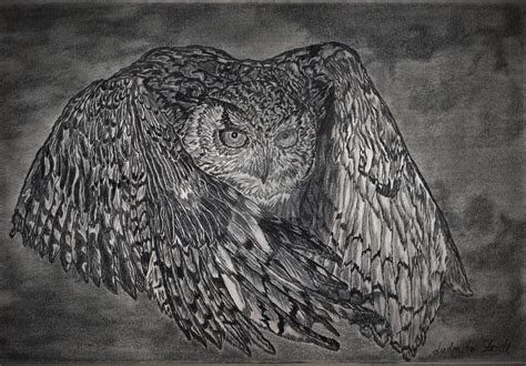 Flying owl graphite drawing by LudmillaS on DeviantArt