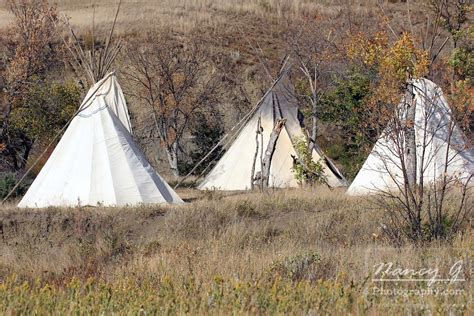 Three Plains Indians Tipis In A Camp By A Stream Bed During Fall Native American History