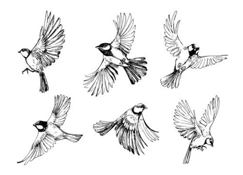 Sparrows Flying Design