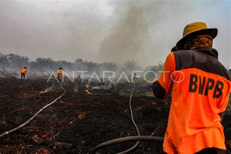 Kebakaran Hutan Dan Lahan Di Pekanbaru Antara Foto