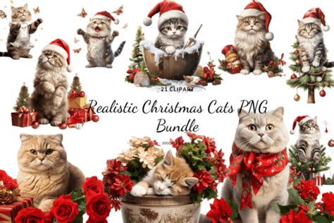 Realistic Christmas Cats PNG Bundle Graphic By Cupid Art Creative Fabrica