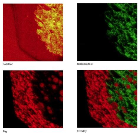 Chemical Imaging of Pharmaceuticals - EAG Laboratories