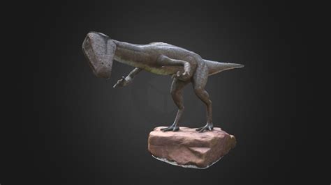 Vertebrate Coelophysis Dinosaur Model Download Free 3d Model By