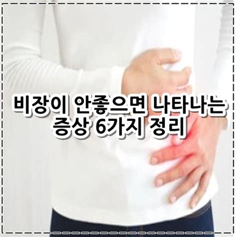 비장이 안좋으면 나타나는 증상 6가지 정리 잡media