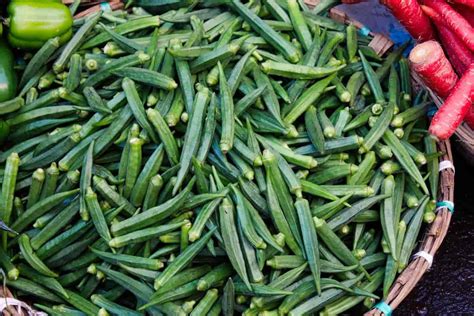 How To Grow Okra From Seed To Harvest In Pots On The Ground A Full Detailed Guide For Beginners