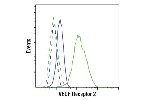 Phospho Vegf Receptor Antibody Sampler Kit Cell Signaling Technology