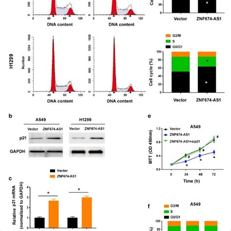 Znf As Causes A G G Cell Cycle Arrest Through Upregulation Of