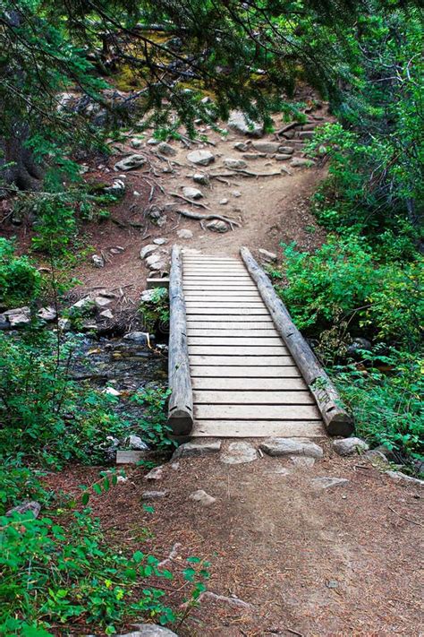 A Small Walk Bridge Over a Creek on a Hiking Trail Stock Image - Image of creek, hike: 205736213