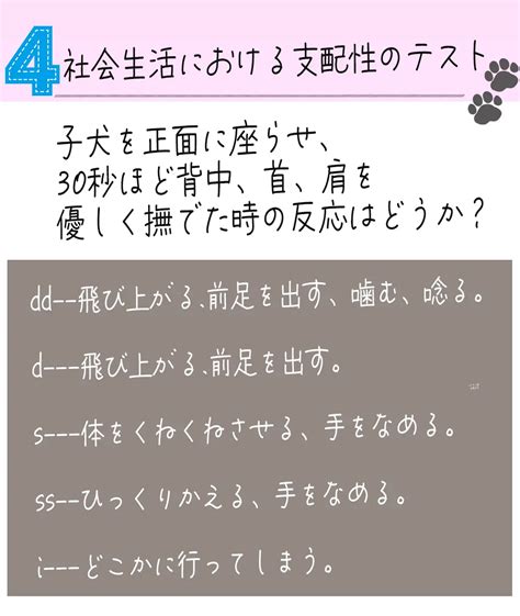 【犬の性格診断 キャンベルテストの診断方法】 犬ラブ🐕‍🦺黒シュナが投稿したフォトブック Lemon8