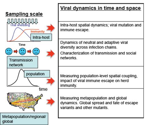 Viral Evolution Faculty Of Science