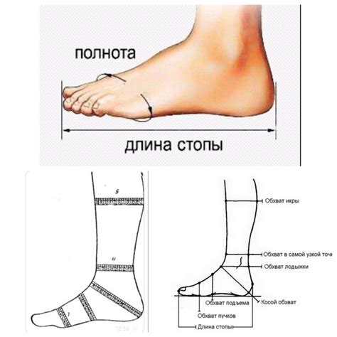 Купить STTOPA Деми 56 См. Размеры 36-44. Сапоги Больших Размеров ...