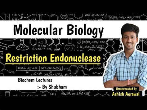 Restriction Endonucleases Molecular Biology Biochemistry Lecture