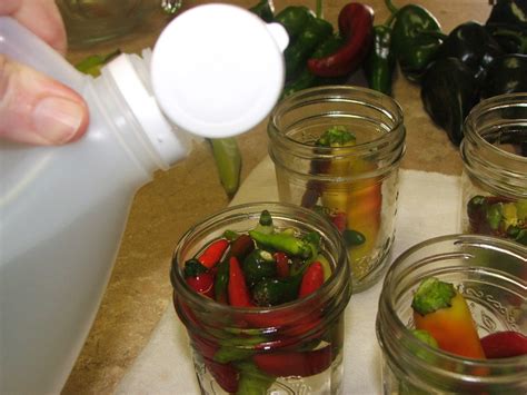 Canning Granny Hot Pepper Vinegar