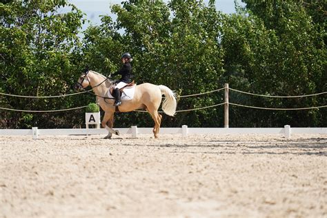 DSC05572 FEDERACION NAVARRA DE HIPICA Flickr