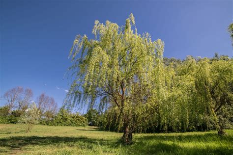 Parco Fluviale Di La D Arno Lastra On Tour Comune Di Lastra A Signa