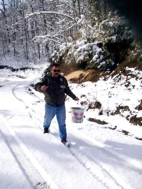 Zonguldak ta Yaban Hayvanları İçin Doğaya Yem Bırakıldı Haberler