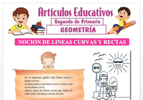 Noci N De L Neas Curvas Y Rectas Para Segundo De Primaria The