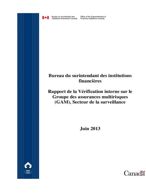 Fillable Online Rapport De La Vrification Interne Sur Le Groupe Des