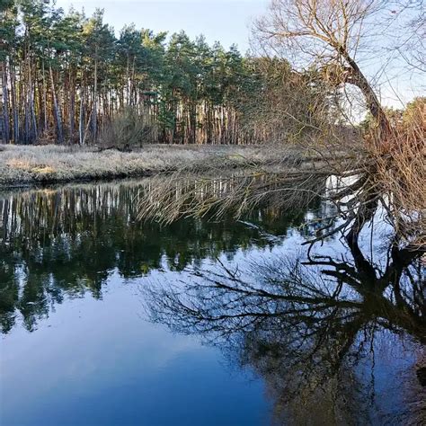 Spreewiesen Und Kiefernwald Zwischen Hangelsberg Und F Rstenwalde