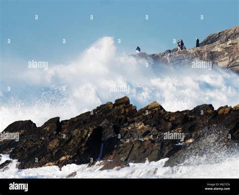 Oblivious To Danger Hi Res Stock Photography And Images Alamy