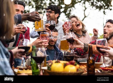 A Diverse Group Of Friends Raising Their Glasses In A Toast During A Countryside Picnic The