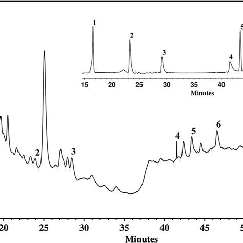 High Performance Liquid Chromatography Hplc Fingerprint Of The Download Scientific Diagram