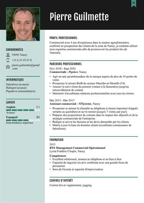 Cv Commercial Exemple Liste De Compétences Commerciales