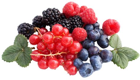 Berry Png Hd Transparent Berry Hdpng Images Pluspng