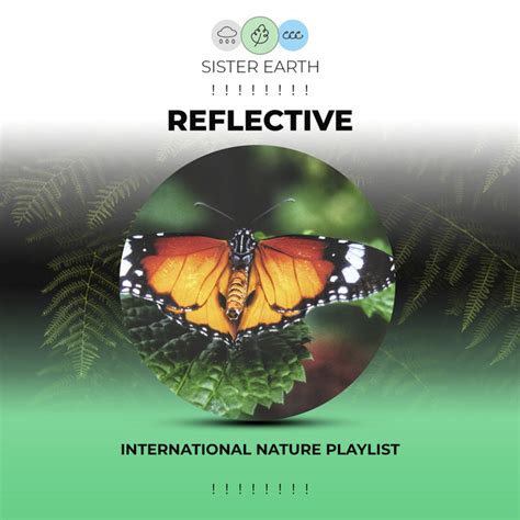 Reflective International Nature Playlist Album By Sleep