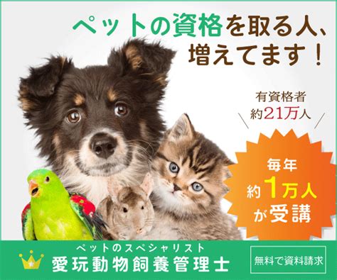 【犬に関わる仕事】ペット好きに向いてる職業23選・資格80選一覧（高収入）2024 シュナペディア