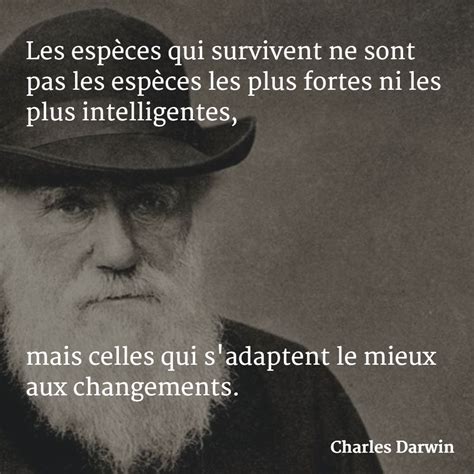 Les Esp Ces Qui Survivent Ne Sont Pas Les Esp Ces Les Plus Fortes Ni