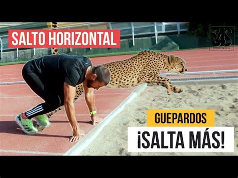 Salto Horizontal Prueba Este Ejercicio Y Mejora Tu Salto