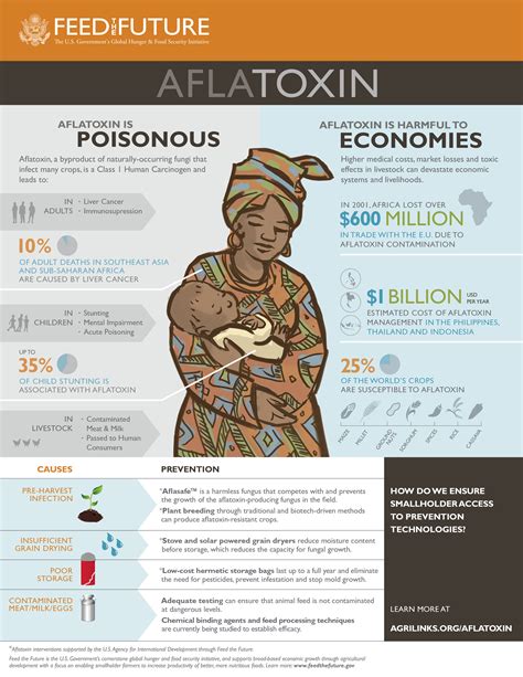 Aflatoxin Infographics Making A Complex Issue More Digestible Julie