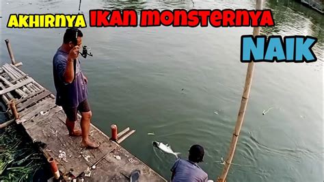 Akhirnya Ikan Monster Di Spot Ini Landing Dengan Selamat Mancing