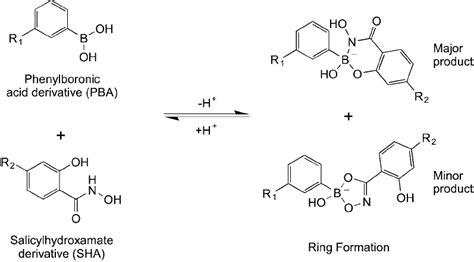 Hermanson G Bioconjugate Techniques Second Edition