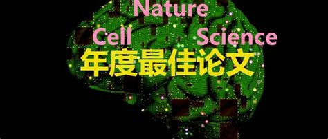 快讯：2022年中国神经科学重大进展公布，3篇science，2篇cell，1篇nature 子刊封面中国猕猴新浪新闻