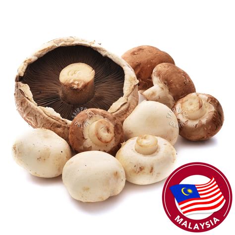 Pasar 3 In 1 Mushroom NTUC FairPrice