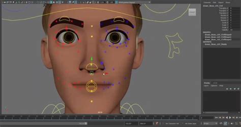 Do 3d Character Rigging Blendshape Keys Wonder Dynamic In Blender