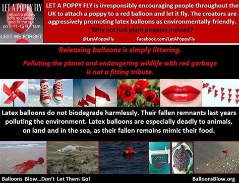 Pin di saying NO to Plastic . Balloons . Disposables . Polystyrene ...