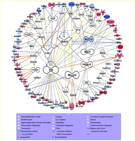 The predicted network of upstream regulators and their target ...