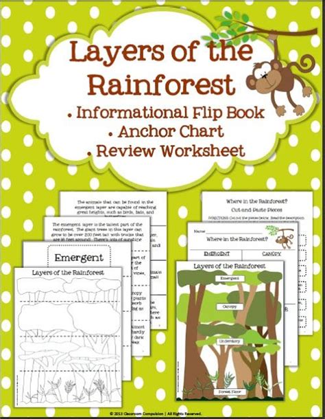 Rainforest Layers Worksheet Rainforest Activities Rainforest Flip Book