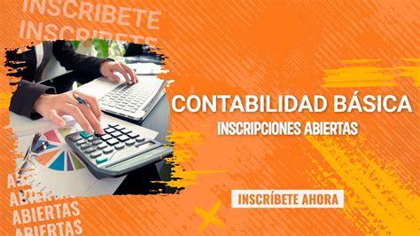 Curso De Contabilidad B Sica Sena