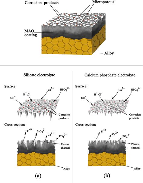 Schematic Diagrams Of The Corrosion Mechanism Of Mao Coatings In Sbf