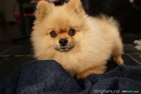 Siswet Siswet Siswet Siswetofficial Nude Leaked Onlyfans Photo Fapgeek