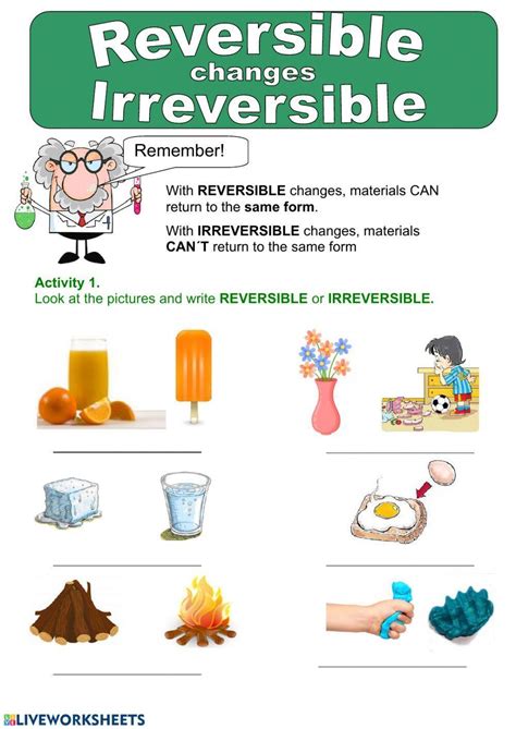 Reversible And Irreversible Changes Activity Live 54 Off