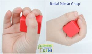 radial-palmar-grasp-collage - Growing Hands-On Kids