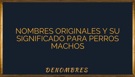 Nombres Originales Y Su Significado Para Perros Machos •