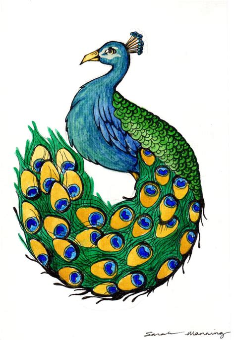 Peacock By Calgirl4ever On Deviantart