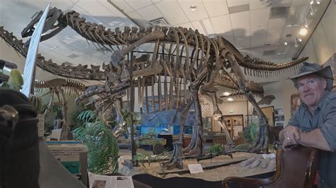 New dinosaur museum in Edwards features Colorado fossils | 9news.com