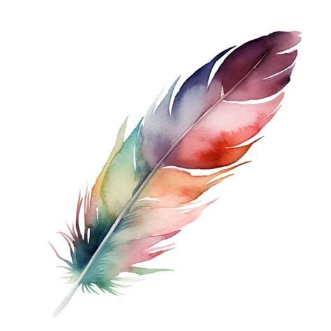 Premium AI Image | watercolor feather illustration